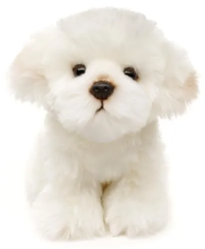 Uni-Toys Kuscheltier Malteser - 18 cm - Kuscheltiere aus 100 % recyceltem Füllmaterial, lebensecht und flauschig weich, perfekt zum Spielen, Sammeln oder Verschenken.