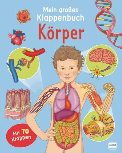 Klappenbuch - Körper: Mit 70 Klappen - Gesundheits- & Medikamentenratgeber, interaktives Klappenbuch mit 70 Klappen für spielerisches Lernen über den menschlichen Körper.