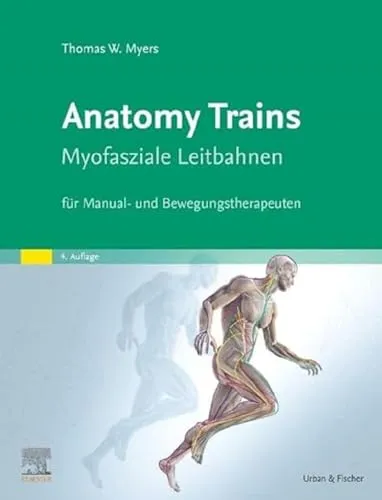 Anatomy Trains: Myofasziale Leitbahnen für Manual- und Bewegungstherapeuten - Muskulatur - Entdecken Sie die innovativen myofaszialen Leitbahnen für eine effektive Therapie und Bewegungsoptimierung.