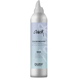 dusy professional Color Mousse 9/81 Silber 200 ml - Color-Schaumfestiger für lebendige Farbreflexe, ideal zum Auffrischen und Abdecken von ergrautem Haar. Sanfte Tönung und leichte Festigung in einem praktischen 200 ml Format.