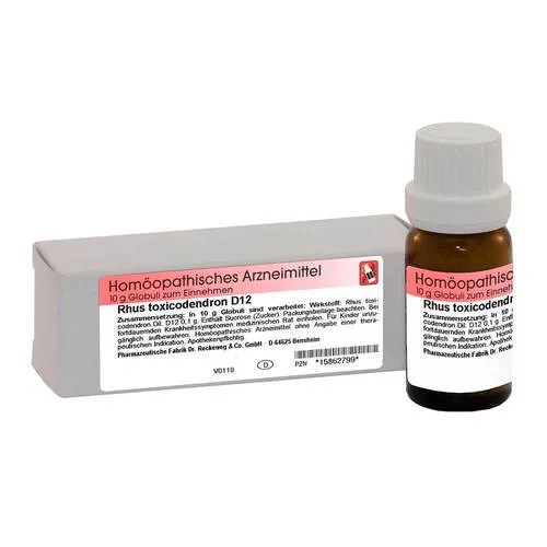 Rhus Toxicodendron D 12 Globuli 10 g