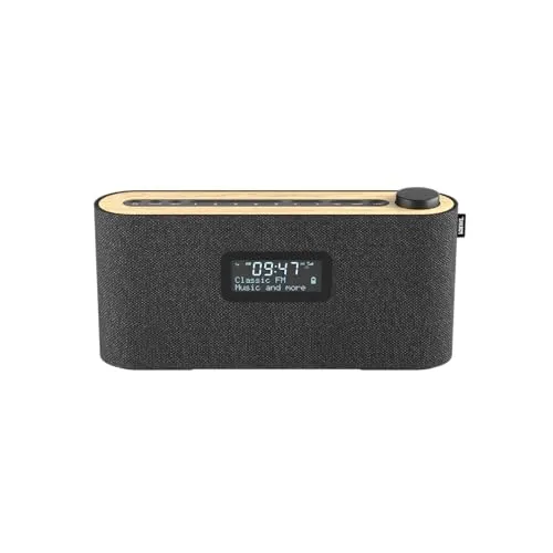 Loewe Radio.Frequency - DAB+ Radio mit 28 Watt Sound, LCD Display, lange Akkulaufzeit und benutzerfreundlicher Bedienung