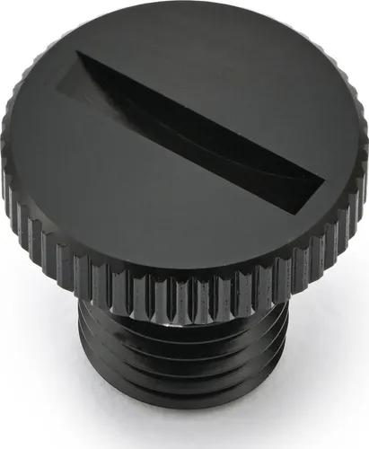 Daytona Spiegelschraube Stopfen Spiegelverschluss SW GW Li M10x1,25