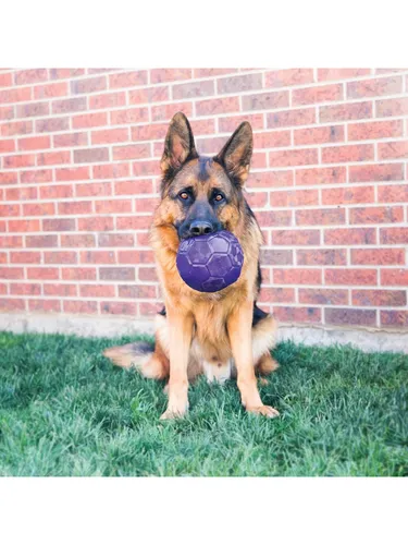 KONG Dog Toy Flexball 15cm - Robuster Flexball für Hunde, ideal für interaktives Spielen. Seine flexible Form sorgt für langanhaltenden Spielspaß und die griffigen Griffe erleichtern das Apportieren.