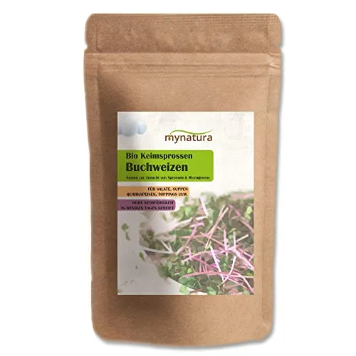 mynatura Bio Keimsprossen Buchweizen Gemüse | Garten | Sprossen | Keime | Keimling | keimen | gesunde Ernährung | vegan und vegetarisch (1x500g)