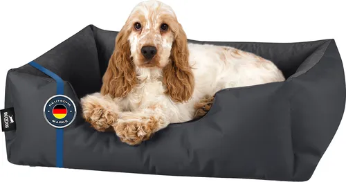 BedDog Hundebett ZARA (M) 70x55cm in Graphit - Hundebett in modernem Design, pflegeleicht und komfortabel für erholsamen Schlaf deines Vierbeiners.