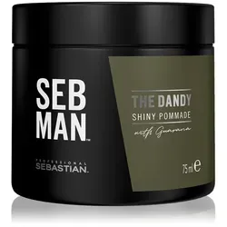 Sebastian Professional SEB MAN The Dandy Pomade für natürliche Fixation 75 ml