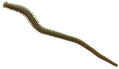 Berkley Gulp Alive Sandworm 6in – Saltwater Fishing Soft Bait - Lockmittel für Salzwasser-Angeln, sieht aus und fühlt sich an wie natürliche Sandwürmer, angereichert mit Lockstoff für maximale Anziehungskraft.