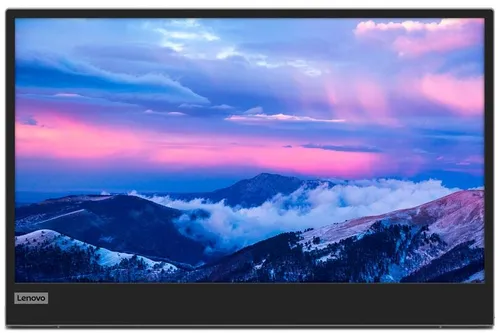 Lenovo L15 mobiler Monitor 39,6cm - Full HD, IPS, 6ms, USB-C 3.2, ideal für flexibles Arbeiten unterwegs