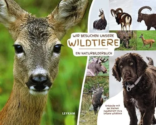 Wir besuchen unsere Wildtiere - Ein Naturbilderbuch: Entdecke mit der kleinen Jagdhündin Viva unsere Wildtiere