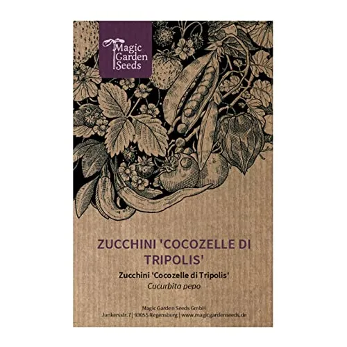 Zucchini 'Cocozelle di Tripolis' (Cucurbita pepo) 5 Samen Zucchetti