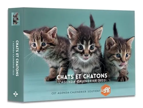 Agenda - Calendrier Chats et chatons 2025
