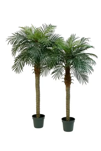 Kunstbaum Künstliche Dattelpalme - Fabienne, 150 cm, aplanta