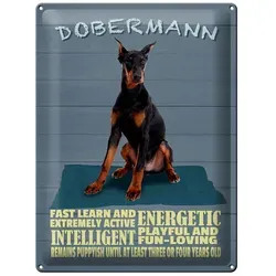 Femer GmbH Metallschild Spruch 30x40cm Dobermann Hund fast learn and, (1 St), gewölbte Oberfläche, abgerundete Ecken, umgeschlagene Kanten