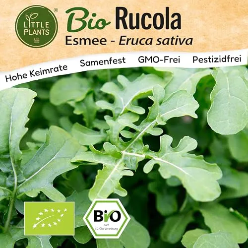 Little Plants BIO Rucola Samen 300 Rucolasamen Esmee Rukola Gemüsesamen für Gemüsegarten Samenfest Gemüse Samen für Küche, Balkon und Garten