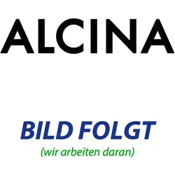 ALCINA Volumen- Schaum Aerosol 150 ml