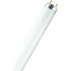 Osram T8 G13 Lumilux Leuchtstoffröhre 18W 2700K - Taschenlampen - Dimmbar und warmweiß mit 2700K für eine angenehme Atmosphäre in jedem Raum.
