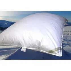 Betten Hofmann Daunenbettdecke Winterbett 155x200 cm - Allergiker Bettdecken mit 2300g Füllung aus 70% Federn und 30% Daunen für optimale Wärme und Komfort. Ideal zum Einkuscheln und für Hausstauballergiker geeignet!