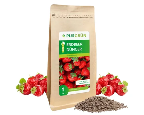 Purgrün Bio Erdbeerdünger 1 kg - Bio-Obstdünger für saftig süße Erdbeeren mit NPK 6+3+8, enthält 2 % Magnesium für optimales Wachstum und Fruchtreife.