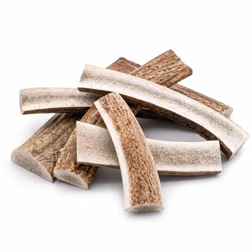 mascota vital - Hirschgeweih - 100% Hirschgeweih - Ideal für die Zahnpflege - 100% Natürlich - Geweih - Kauknochen - Hundespielzeug - Geweih vom Rothirsch (XL (120-160g), halbiert)
