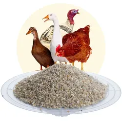 AVESGRAN® Geflügelgrit 2-4 mm - 25 kg Sack für optimale Verdauung - Hochwertiger Geflügelgrit zur Unterstützung der Verdauung von Hühnern und Vögeln. Fördert die Futterverwertung und sorgt für Beschäftigung. Ideal für gesunde Tiere!