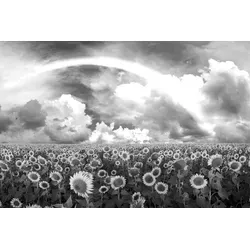 Papermoon Fototapete VLIES-Tapete Premium "Sonnenblumenfeld Schwarz & Weiß", Kleister KOSTENLOS, reduziert, 3D-Effekt, restlos trocken abziehbar, (1586), Wandtapete Bild Dekoration Wand-Dekor Motiv Tapete Poster 5 m x 2.8 m