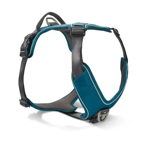 Wolters Active Pro Comfort Hunde-Geschirr - Größe 4, petrol/anthrazit - Weiteres Autozubehör, verstellbar von 55 bis 65 cm für optimalen Komfort und Sicherheit beim Autofahren.