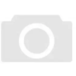 ReinerSCT ESD REINER SCT Login Bus.Edition Jahresl.10 MA (2749800-001)