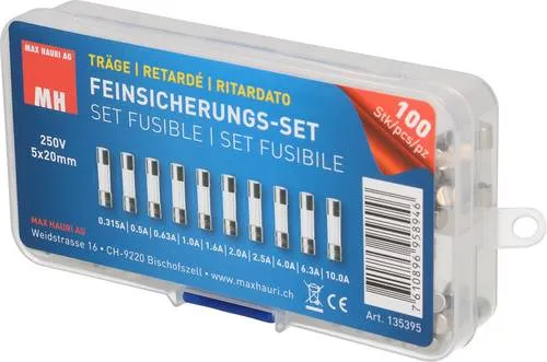 Max Hauri 135395 Feinsicherung-Sortiment (Ø x L) 5mm x 20mm Träge -T- Inhalt 100St.