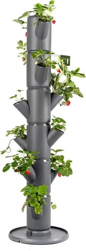 Gusta Garden Sissi Strawberry Erdbeerbaum Classic Anthrazit - Hochbeet System für Erdbeeren mit Wandhalterung, innovatives Design für platzsparenden Anbau, ideal für Garten und Balkon, inklusive integrierten Wasserleitsystem.