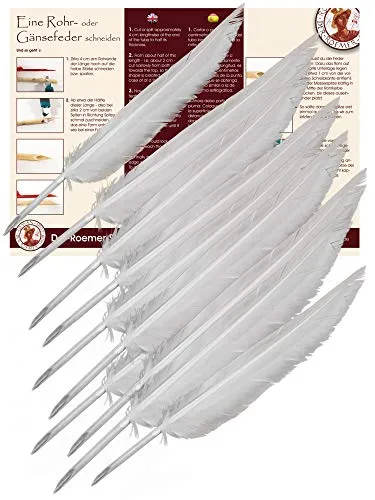 Forum Traiani Feder zum Schreiben 10 Stk. Kalligraphie Schreibfeder, Federkiel zum Zuschneiden Kalligrafie Stift Gänsekiel, Federkiele Set, Schreibrohr Gänsefedern