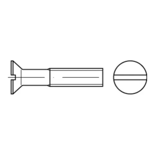 Reyher  Senkschrauben DIN 963 Messing M 3 x 6 Ms (200 Stück)