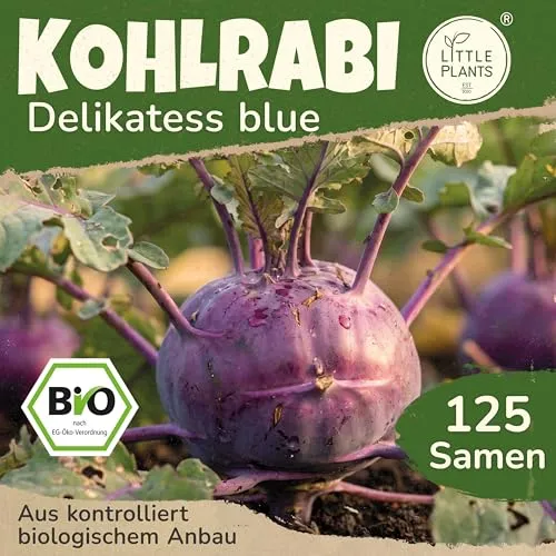 Little Plants BIO Kohlrabi Samen 125 Kohlrabisamen Delicatess blue Gemüsesamen Samenfest für Gemüsegarten Gemüse Samen Hochbeet Samen für Küche, Balkon und Garten
