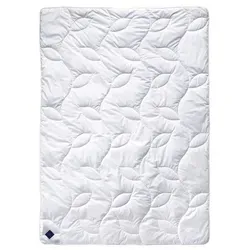 billerbeck Sommerbettdecke 200x200 cm, 90% Viskose (Bambus) - Leichte Sommerbettdecke mit antiallergischer Füllung aus 90% Viskose und 10% Airsoft® für angenehme Nächte. Hygienisch waschbar bis 60°C, inklusive praktischer Aufbewahrungstasche.