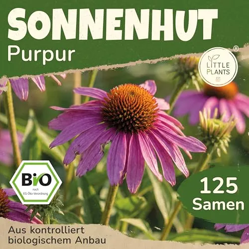 Little Plants BIO Sonnenhut Samen 125 Sonnenhutsamen Purpur Blumensamen Samenfest für Blumengarten Blumen Samen für Balkon und Garten