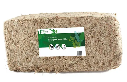 Terrarien-Substrat Sphagnum Moos aus Chile – Premium-Qualität - Hochwertiges Terrarien-Substrat für Pflanzenpflege und Terraristik. Ideal für Orchideen, Zimmerpflanzen und Reptilien. Hohe Wasserspeicherung und biologisch abbaubar.