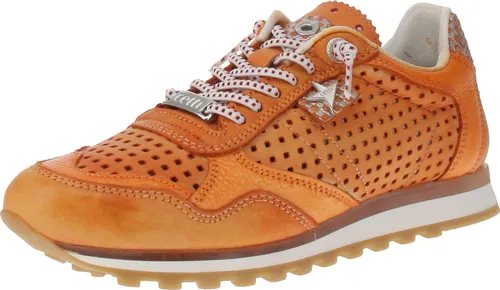 Cetti C-848 SRA EXP V25 Damen Sneaker - Used-Tin-Amber, Größe: 37 EU - Damen-Sneaker mit hochwertigem Leder-Obermaterial und bequemem Keilabsatz von 2,5 cm für stilvolles und angenehmes Tragen.