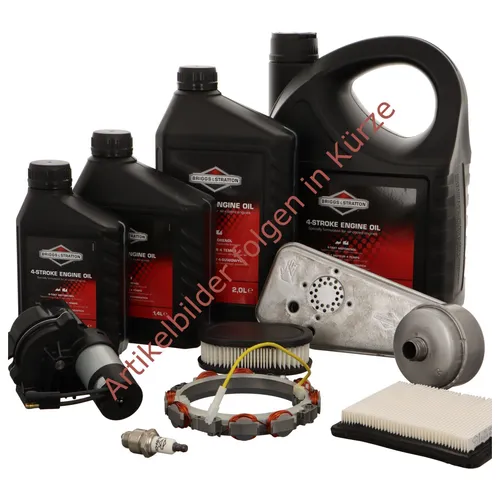 Briggs u. Stratton MEMBRANE  | 272638S | 024847241099