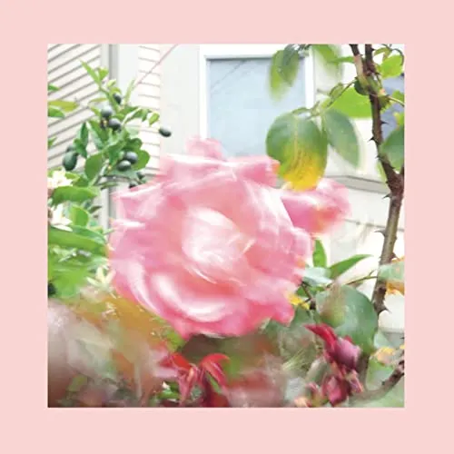 Pinks and Purples The Reds Summer At Land's End (CD) (US IMPORT)