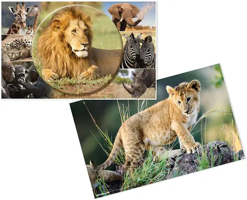 HERMA Schreibunterlage "Afrika Tiere" (B)550 x (H)350 mm