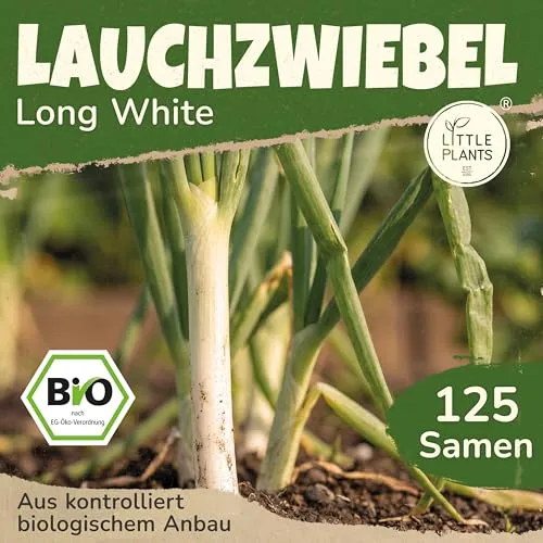Little Plants BIO Lauchzwiebel Samen Ishikura Long White 125 Zwiebelsamen Gemüsesamen Samenfest für Gemüsegarten Gemüse Samen für Küche, Balkon, Hochbeet und Garten