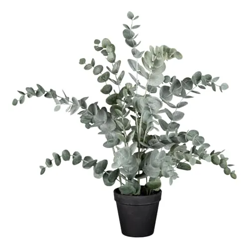 Kunstpflanze Eukalyptus im Topf HELENAS, 53 cm - Kunstpflanze Eukalyptus von Gasper, täuschend echt und pflegeleicht. Ideal für Wohnzimmer, Schlafzimmer oder Büro - bringt natürliches Flair in jeden Raum.