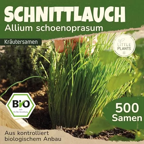 Little Plants BIO Schnittlauch Samen 500 Schnittlauchsamen Kräutersamen für Kräutergarten Hochbeet Samenfest Kräuter Samen für Küche, Balkon und Garten Küchenkräuter
