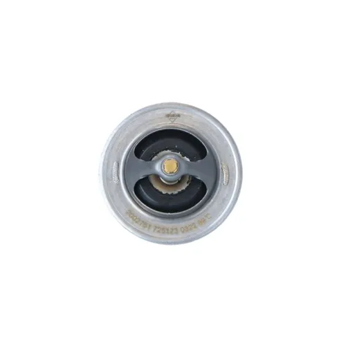 Thermostat NRF 725173