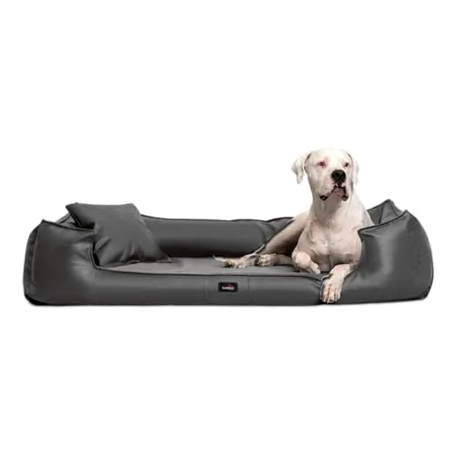 tierlando® Goofy Easy CLEAN – Orthopädisches Hundebett für große Hunde - Orthopädisches Hundebett aus Kunstleder mit abnehmbarem Matratzenschoner, ideal für ein sauberes Liegegefühl und gelenkschonenden Komfort – perfekt für mittelgroße und große Hunde.