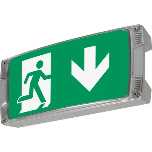 Ceag Notlichtsysteme Rettungszeichenleuchte LED S CG-S - Schilder: Robuste LED Rettungszeichenleuchte mit IP65 Schutz für Außenbereiche, ideal für zuverlässige Rettungswegkennzeichnung und lange Lebensdauer von bis zu 50.000 Stunden.