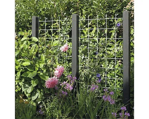 Rankgitter PLUS Stahl 90 x 180 cm - Robustes Spalier aus silbernem Stahl mit 15 x 15 cm Maschenweite, ideal zur Unterstützung von Pflanzen und zur dekorativen Gestaltung im Garten.