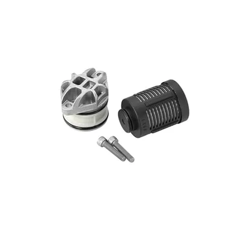 BorgWarner Hydraulikfilter Haldex-Kupplung DS2003085 - Kupplungshydraulik für Hinterachse, kompatibel mit VW und Audi Modellen, sorgt für optimale Leistung und Sicherheit Ihrer Haldex-Kupplung.