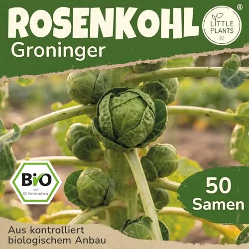Little Plants BIO Rosenkohl Samen 50 Rosenkohlsamen Groninger Sprossenkohl Gemüsesamen Gemüsesaatgut Samenfest für Gemüsegarten, Hochbeet, Küche, Balkon und Garten