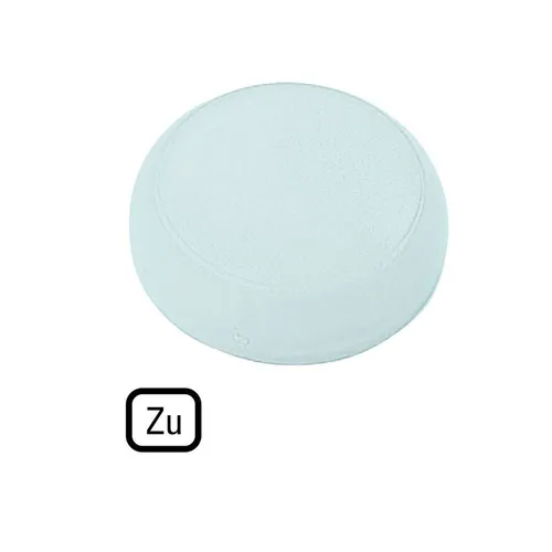 Eaton Linse M22-XL-W-D2 218403 - Linsen für Anzeigelampen, flache und beschriftete Linse in Weiß, ideal für präzise Signalgebung und zuverlässige Anzeige.
